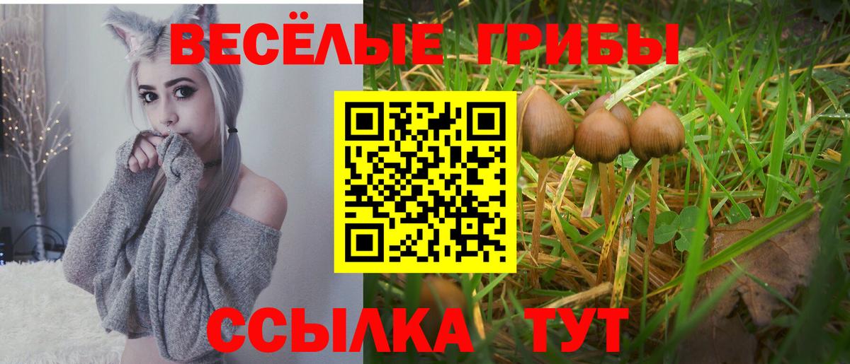 Отрадное  Псилоцибиновые грибы мицелий  Вход с VPN 